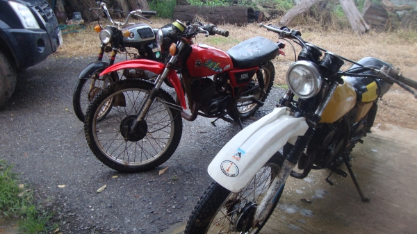 ขายครับ