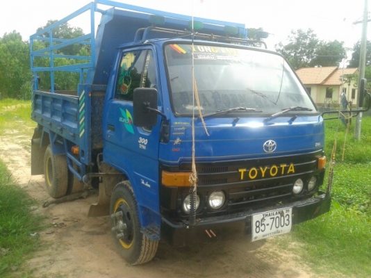 ขายดั้มไดน่า