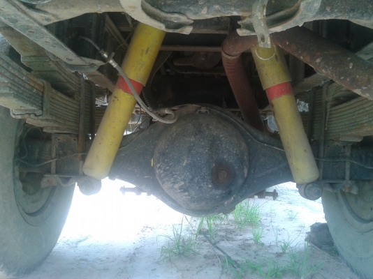 ขายดั้มไดน่า