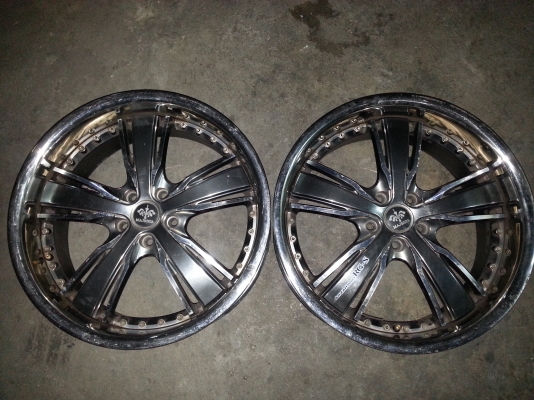 majesta20&times;8.5"ราคา4500บาท