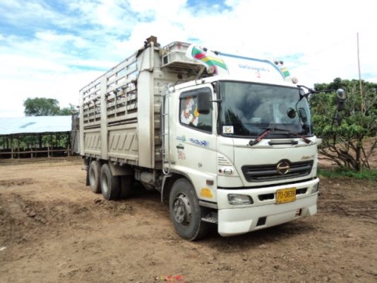 ขาย HINO 260