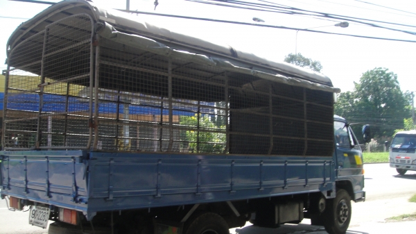 NPR 115 ห้างแท้สวยจัด ปี94 ดาวน์75000 ผ่อน14700/36เดือน