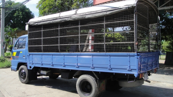 NPR 115 ห้างแท้สวยจัด ปี94 ดาวน์75000 ผ่อน14700/36เดือน