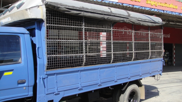 NPR 115 ห้างแท้สวยจัด ปี94 ดาวน์75000 ผ่อน14700/36เดือน