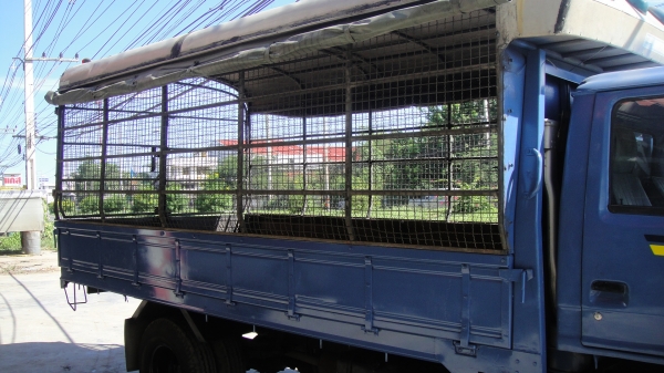 NPR 115 ห้างแท้สวยจัด ปี94 ดาวน์75000 ผ่อน14700/36เดือน