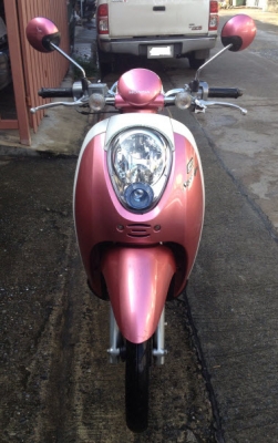 Scoopy i สภาพเยี่ยม เครื่องดี