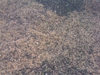 ขายด่วน ทรายบรรจุกระสอบ ขายเพียงกระสอบละ 20 บาทสินค้ามีจกนวนจำกัดสนใจติดต่อ 086-1336693