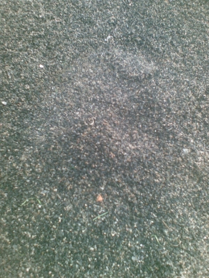 ขายด่วน ทรายบรรจุกระสอบ ขายเพียงกระสอบละ 20 บาทสินค้ามีจกนวนจำกัดสนใจติดต่อ 086-1336693