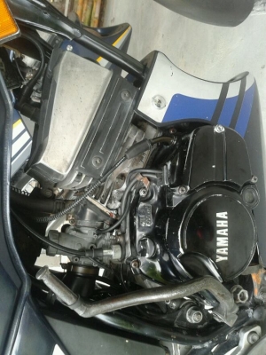 ขาย rxz 2 คัน สภาพดี พร้อมใช้ หรือ ส่งเข้ามาเลเซีย