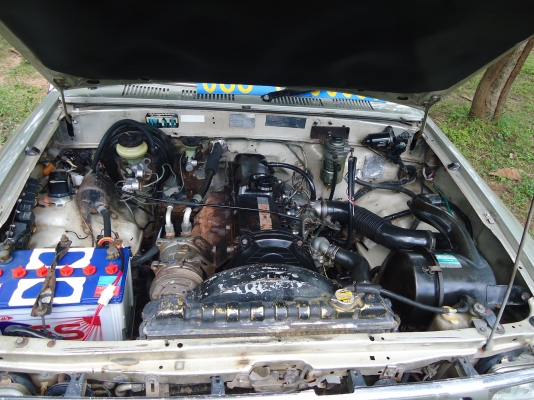 ไมตี้แคบ ปี35