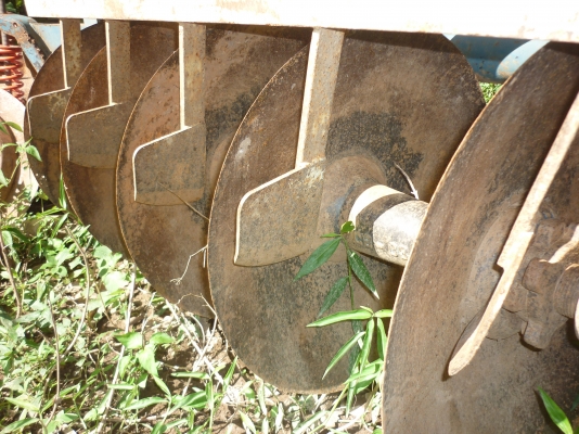 ขายครับ 28000 ราคานี้เลยครับ