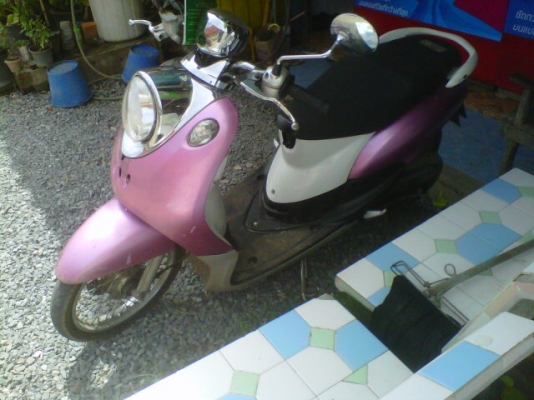 mio แปง ฟรีโน่