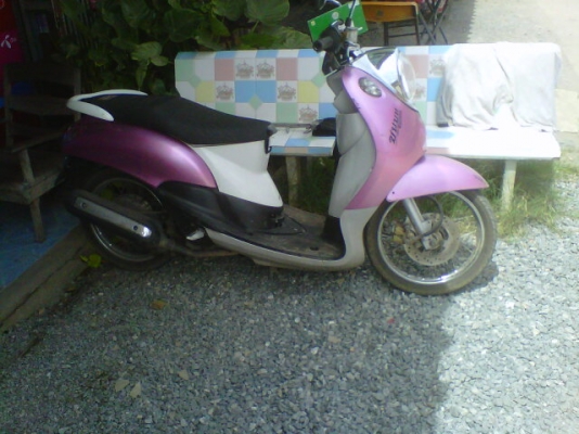 mio แปง ฟรีโน่ mio แปง ฟรีโน่