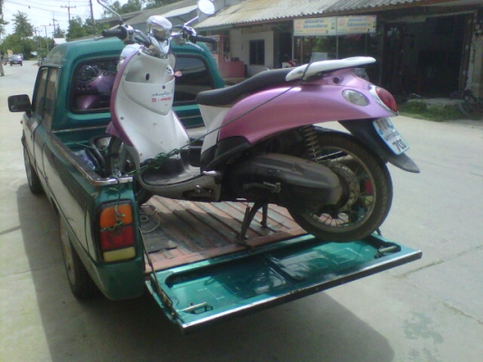 mio แปง ฟรีโน่ mio แปง ฟรีโน่