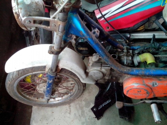 ขายชิปปี้  4 คันคันละ 4500 บาท ดูภาพด้านในครับ สวยๆ