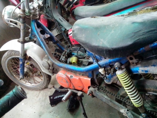 ขายชิปปี้  4 คันคันละ 4500 บาท ดูภาพด้านในครับ สวยๆ