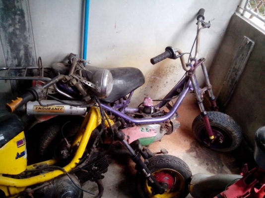 ขายชิปปี้  4 คันคันละ 4500 บาท ดูภาพด้านในครับ สวยๆ