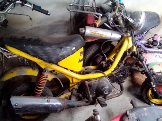 ขายชิปปี้  4 คันคันละ 4500 บาท ดูภาพด้านในครับ สวยๆ