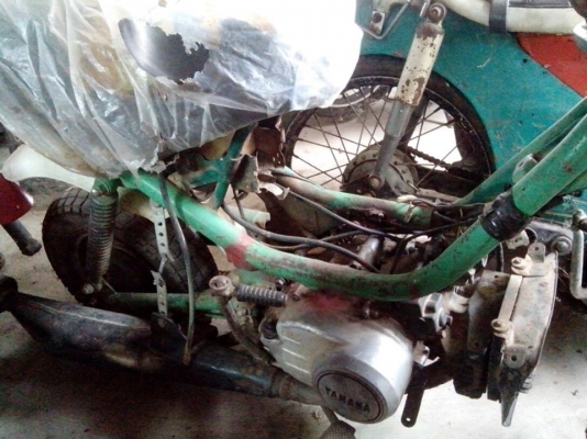 ขายชิปปี้  4 คันคันละ 4500 บาท ดูภาพด้านในครับ สวยๆ