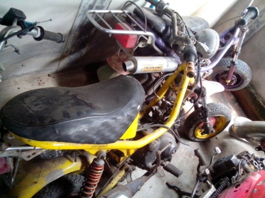 ขายชิปปี้  4 คันคันละ 4500 บาท ดูภาพด้านในครับ สวยๆ