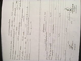 ขายhonda nighthawk 250cc ขายhonda nighthawk 250cc