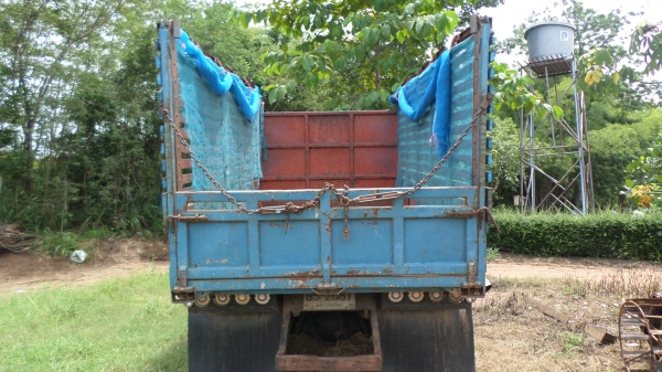 ขายด่วน 115 สภาพสวยพร้อมใช้ ดั้มเกษตร F หน้าหลังสวยสุดๆ ใช้งานดีเยี่ยม รับไปใช้งานต่อได้เลย