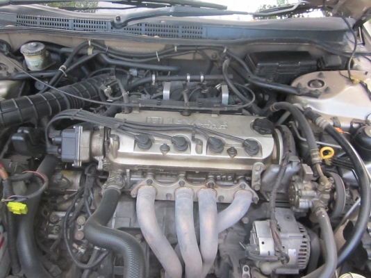 ขาย HONDA accord ขาย HONDA accord