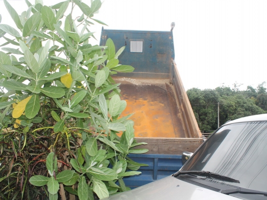 ดั้มจัมโบ้200ไดน่า เครื่อง100แรง ดั้มดินสภาพสวยครับ พรบ.ภาษีเต็มครับ