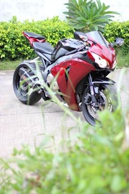 ขาย cbr 1000 ปี2008 สเป็ค USA สภาพดี อยากไปเล่นตัวอื่นบ้าง