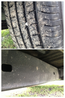 ไมตี้ทรงดี เครื่องเกียร์เยี่ยม พ.พาวเวอร์แท้ ยางใหม่ คัสซีสวย ไม่ติดดินแดง แอร์เย็น