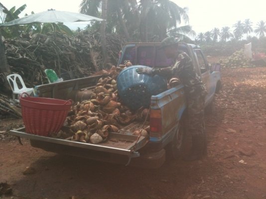 ดัทสัน 720 เกียร์คอ แท้ๆ เดิมๆ แห้งๆ