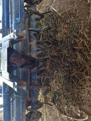 ต้องการขาย โรตารี่ อิซากิ ขนาด 1.20 เมตร