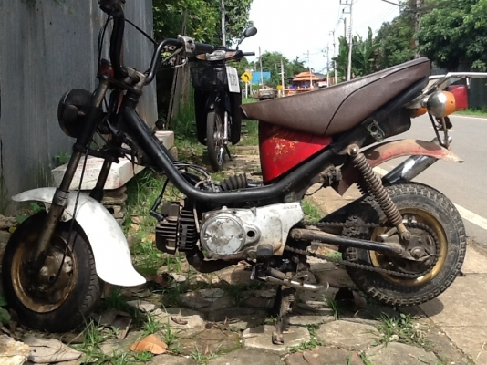 รถซิบปี้ตามสภาพ รถซิบปี้ตามสภาพ