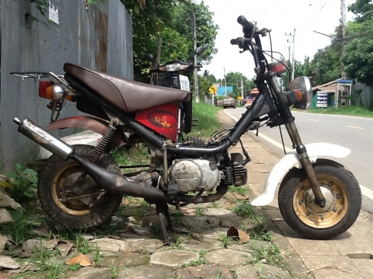 รถซิบปี้ตามสภาพ รถซิบปี้ตามสภาพ