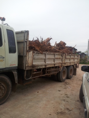 ขาย10ล้อเพลาเดียว 195เดิมๆ