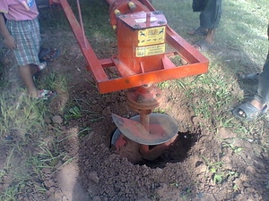 ขายหัวขุดหลุม