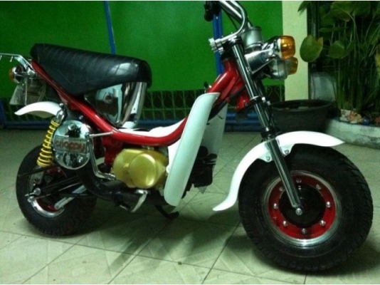 ขาย ชิปปี้ ขาย ชิปปี้