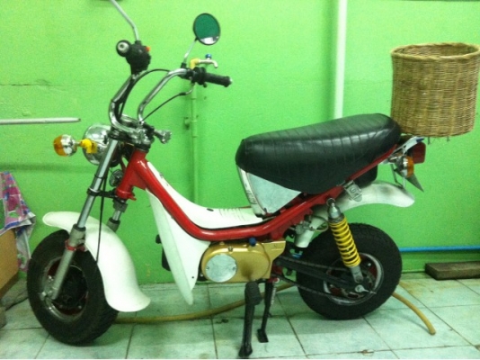 ขาย ชิปปี้