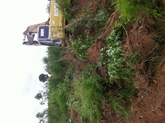 ขายKOBELCO SK200 MARK ||| สภาพดีพร้อมใช้