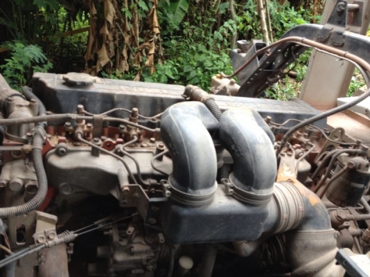 รถอีซูซุ 6 ล้อดั้ม FTR. 195 แรงม้า ปี 40 สนใจติดต่อ 081 - 6079515