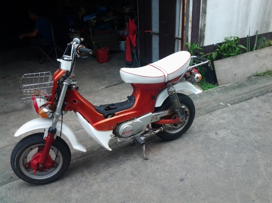 ชาลีขายถูก ชาลีขายถูก