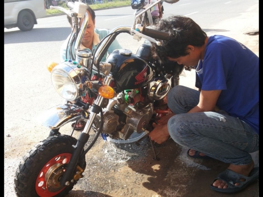 ขายมังกี้ ครับ