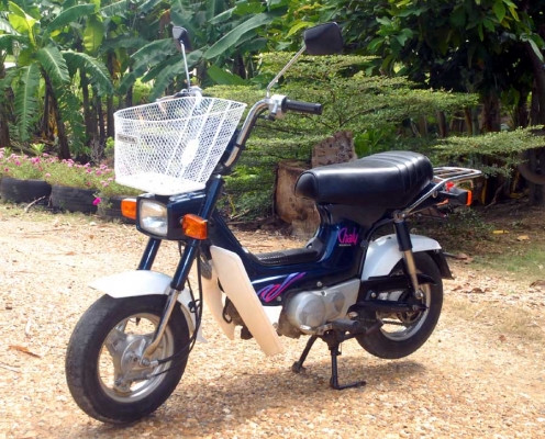 new chaly 1995 new chaly 1995