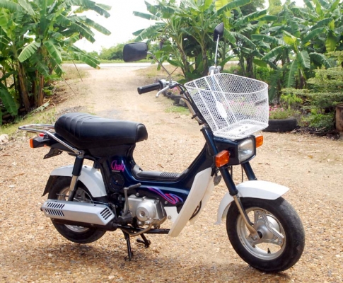 new chaly 1995 new chaly 1995