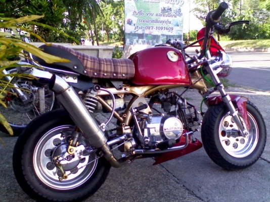 หนุ่ม ปราจีน : ขาย กอลิล่า เครื่อง Lifan125 ชุดแต่งเต็มคัน