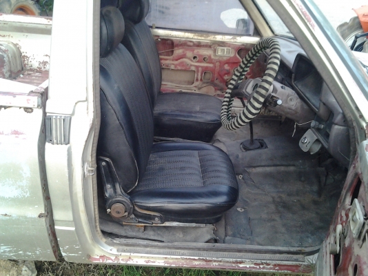 ม้ากะโดด