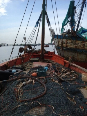 ขายเรือประมงอุปกรณ์พร้อมใช้งาน ขายเรือประมงอุปกรณ์พร้อมใช้งาน