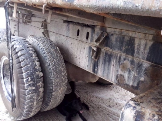 รถอีซูซุ 10 ล้อดั้ม FXZ 240 แรงม้า ( นางฟ้าแท้ ) สนใจติดต่อ 081 - 6079515 รถอีซูซุ 10 ล้อดั้ม FXZ 240 แรงม้า ( นางฟ้าแท้ ) สนใจติดต่อ 081 - 6079515