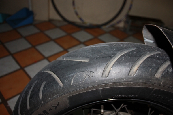 ขาย/แลก รีเบล 250cc คับ แลกกับ 250-400 รุ่นไรก็ได่คับก็ได้คับ + ตังให้คับ