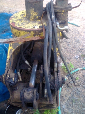 ขายหัวคีบ